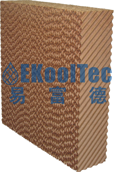 標準系列