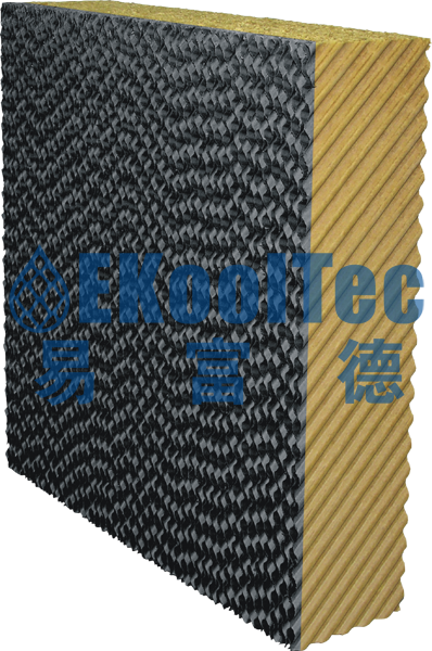 黑邊加強型